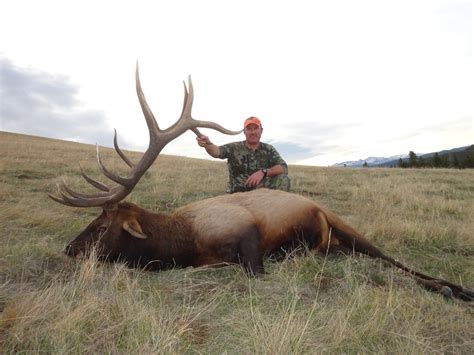 We hunt both elk and mule deer from 5,500 to 8,000 feet elevation. . All inclusive elk hunting packages